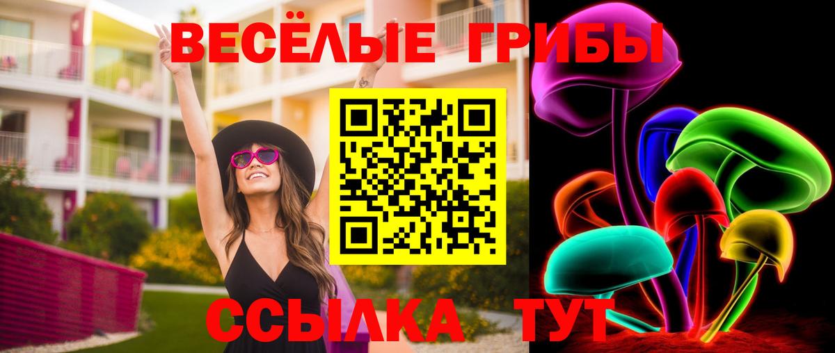 Лабинск  Псилоцибиновые грибы Cubensis  Вход с VPN 